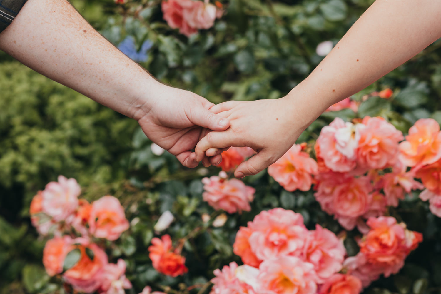 KGP-Lexi&Johanna-ManchesterMaternity225